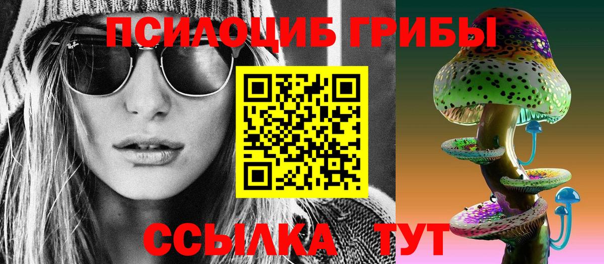 Псилоцибиновые грибы прущие грибы Гусев