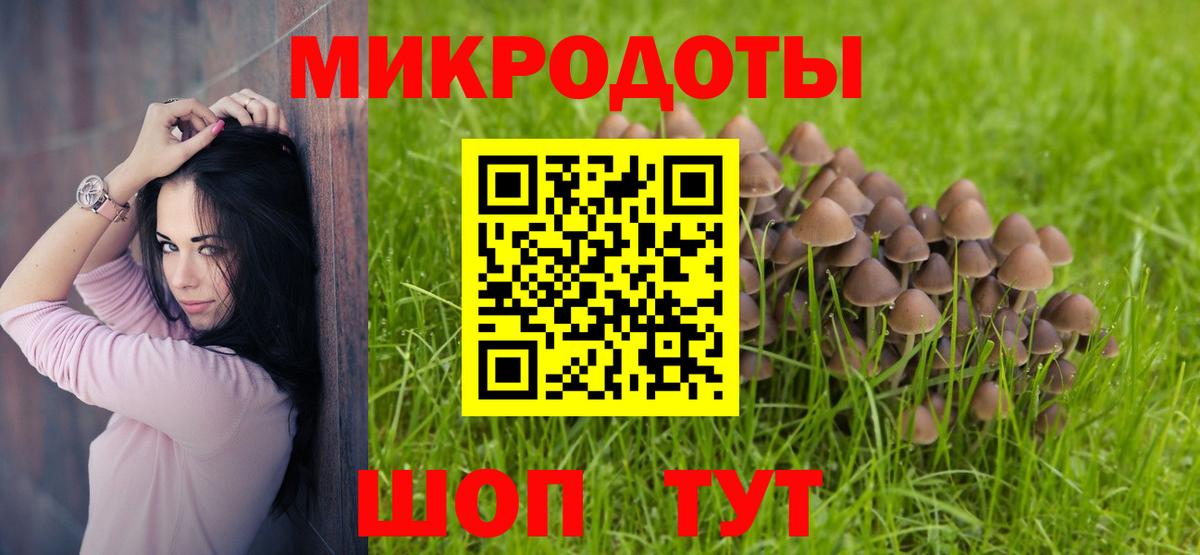 Псилоцибиновые грибы GOLDEN TEACHER  Галлюциногенные грибы прущие грибы  Гусев  Вход с VPN 
